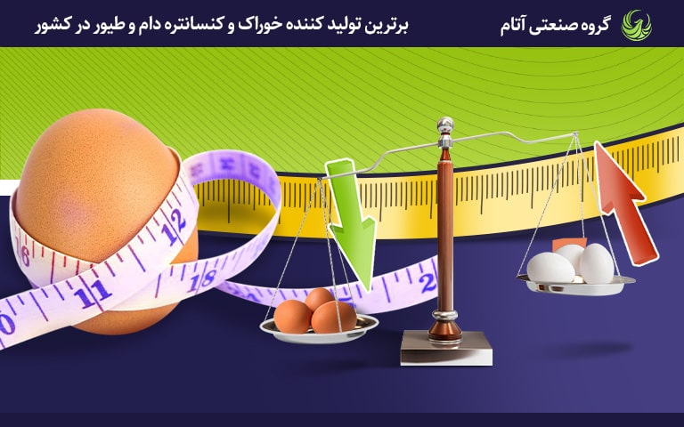 عوامل مؤثر بر کیفیت تخم مرغ